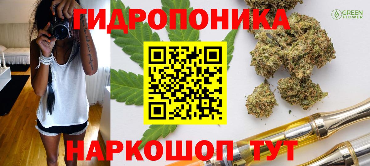 Каннабис план Тулун